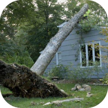 Wind and Storm Damage in San Antonio TX