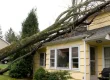 Storm Damage Insurance Claim