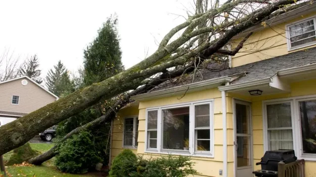 Storm Damage Insurance Claim
