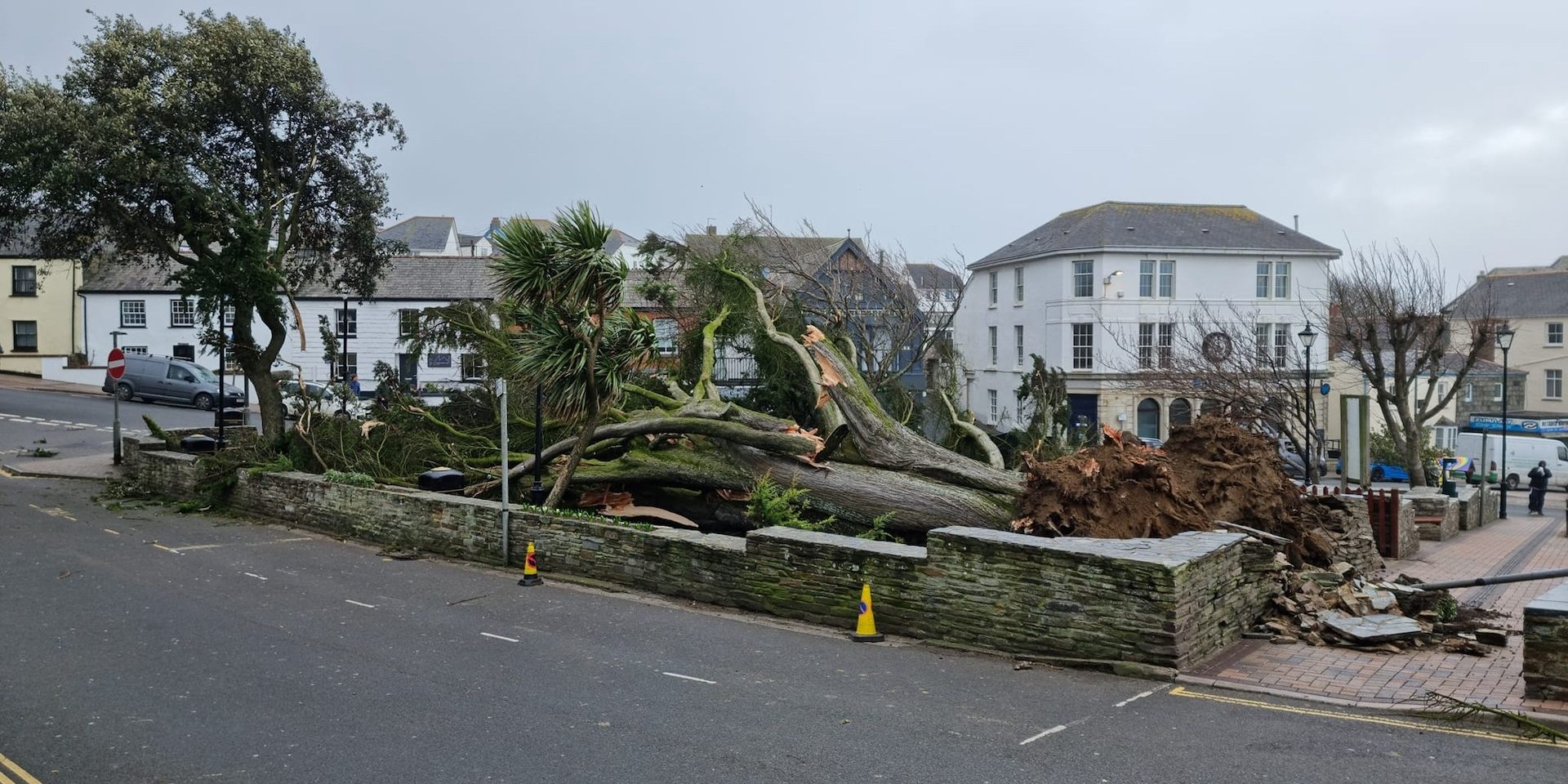 Wind Damage Insurance