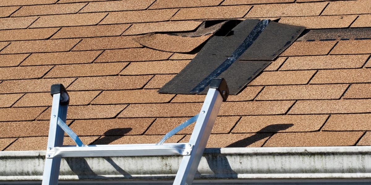 roof repair estimates