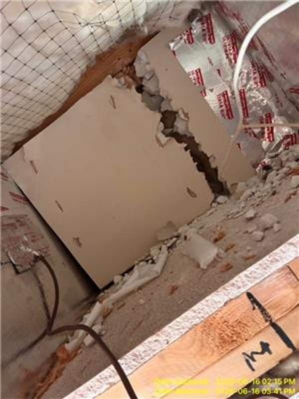 San Antonio Bio Cleanup Infestation Damage